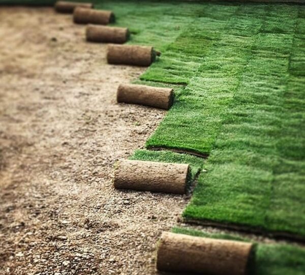 İstanbul Hazır Rulo Çim