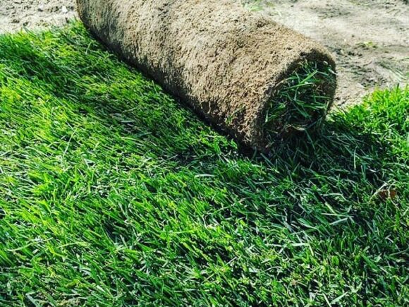 İstanbul’un 39 İlçesinde Kaliteli Hazır Rulo Çim Hizmeti – As Rulo Çim