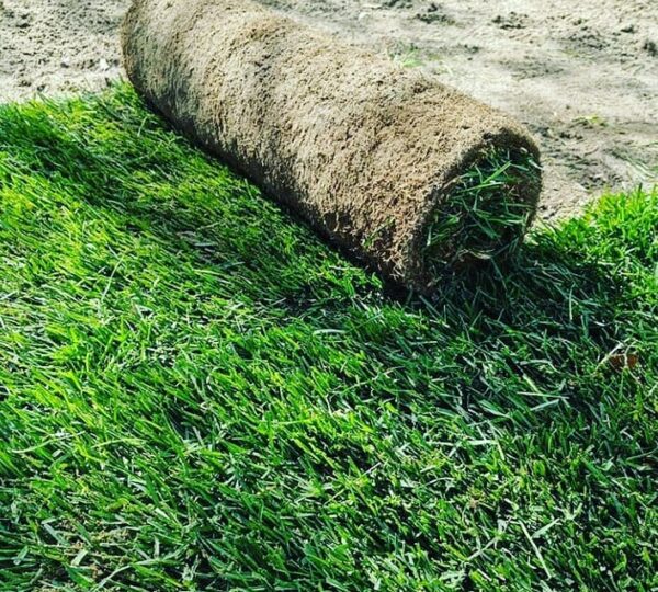 İstanbul Hazır Rulo Çim