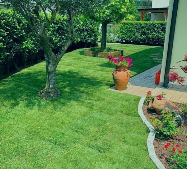 İstanbul Hazır Rulo Çim