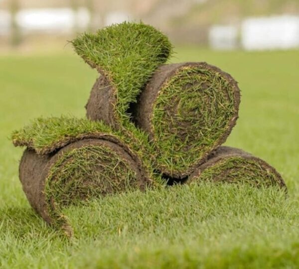 İstanbul Hazır Rulo Çim