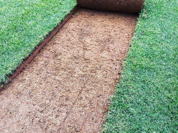 Adalar’da Hazır Çim ve Rulo Çim Uygulamaları – As Rulo Çim