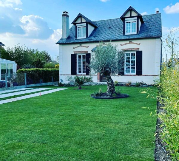 İstanbul Hazır Rulo Çim