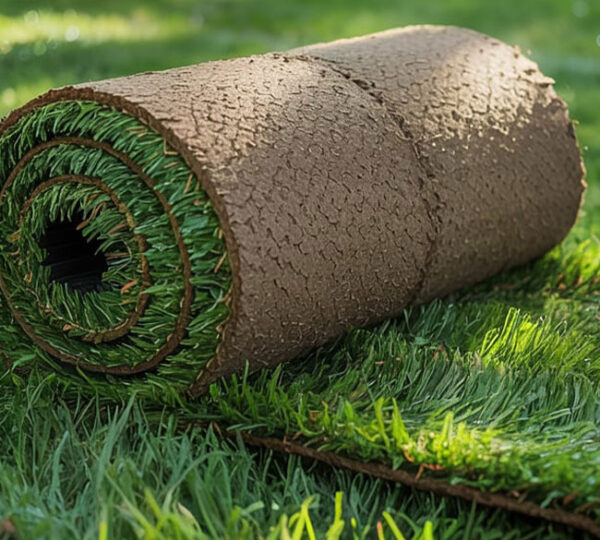 İstanbul Hazır Rulo Çim