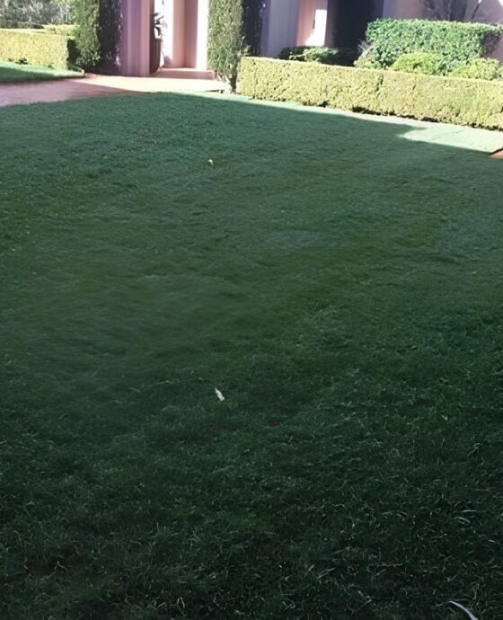 Nişantaşı Hazır Rolu Çim